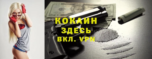 спиды Каменка