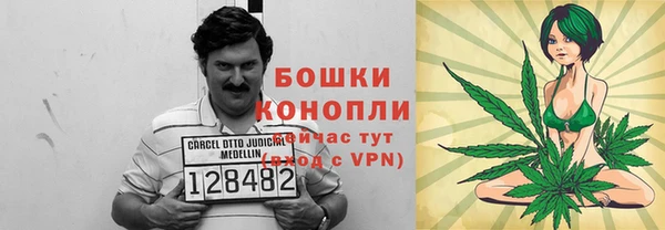 спиды Каменка