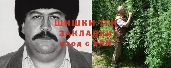 спиды Каменка