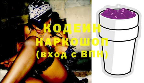 спиды Каменка