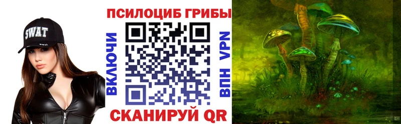 Купить закладки  Туринск  Псилоцибиновые грибы Magic Shrooms 